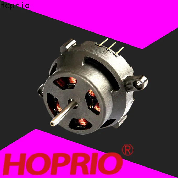 Motore DC brushless ad alta velocit&agrave; Hoprio per elettrodomestici
